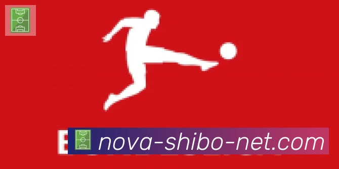 世博体育官网合作伙伴