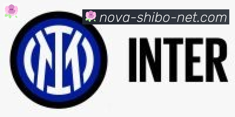 世博体育官网合作伙伴